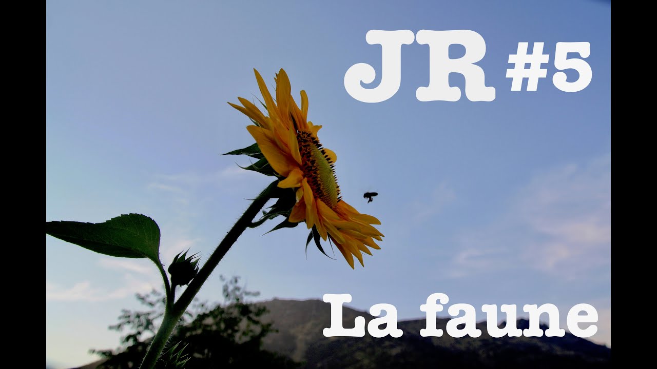 Jardins de résistance #5 - La faune