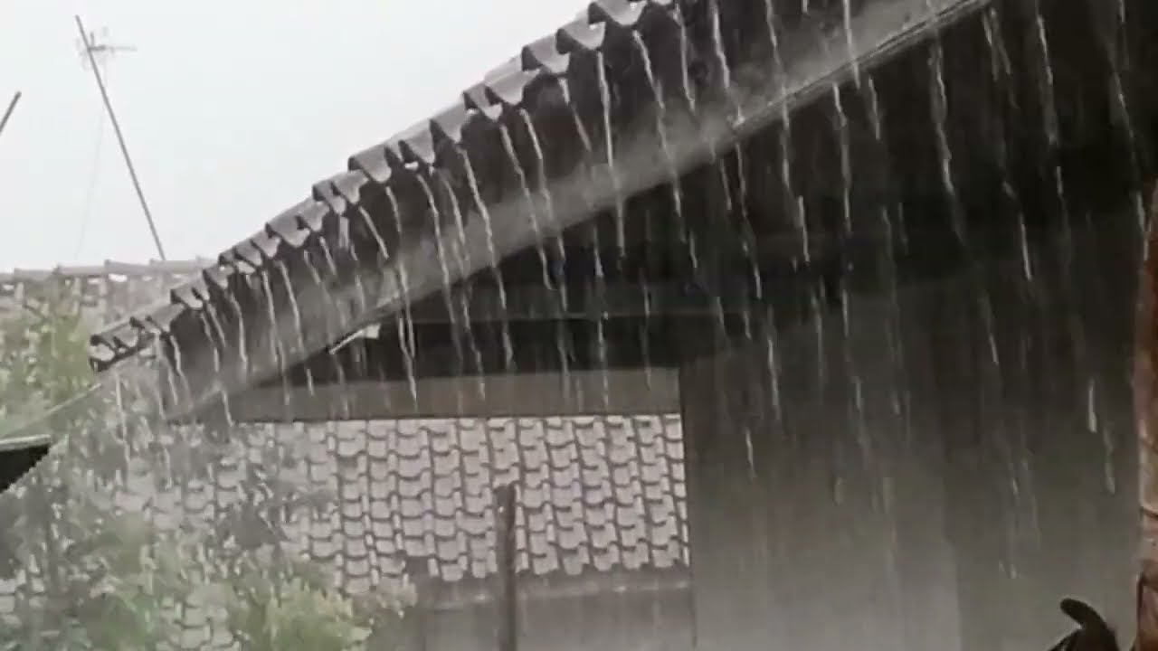“Heavy Rain on Roof for Deep Sleep — Fall Asleep Fast 🌧😴 (1 Hours)”