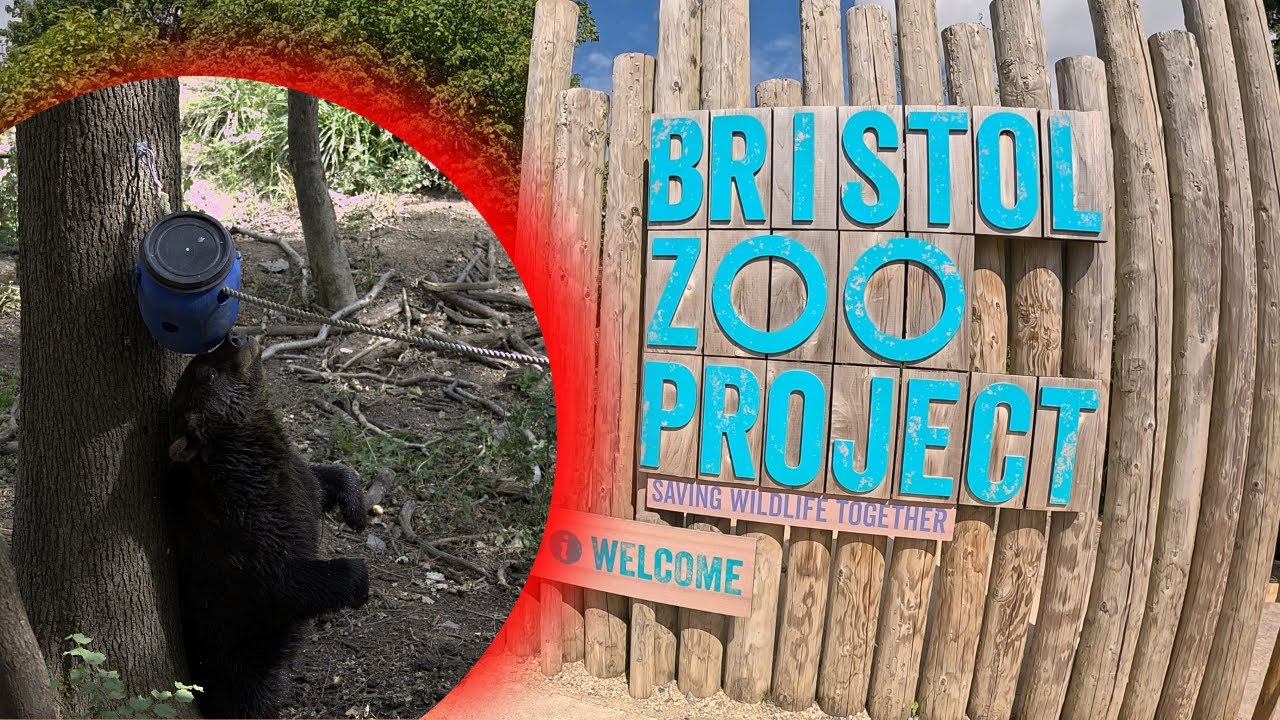 The Bristol Zoo Project