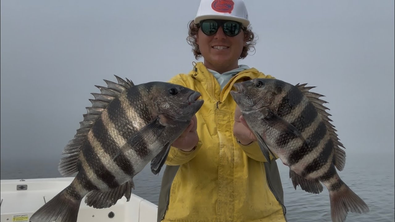 Sight Fishing For SHEEPSHEAD Offshore!
