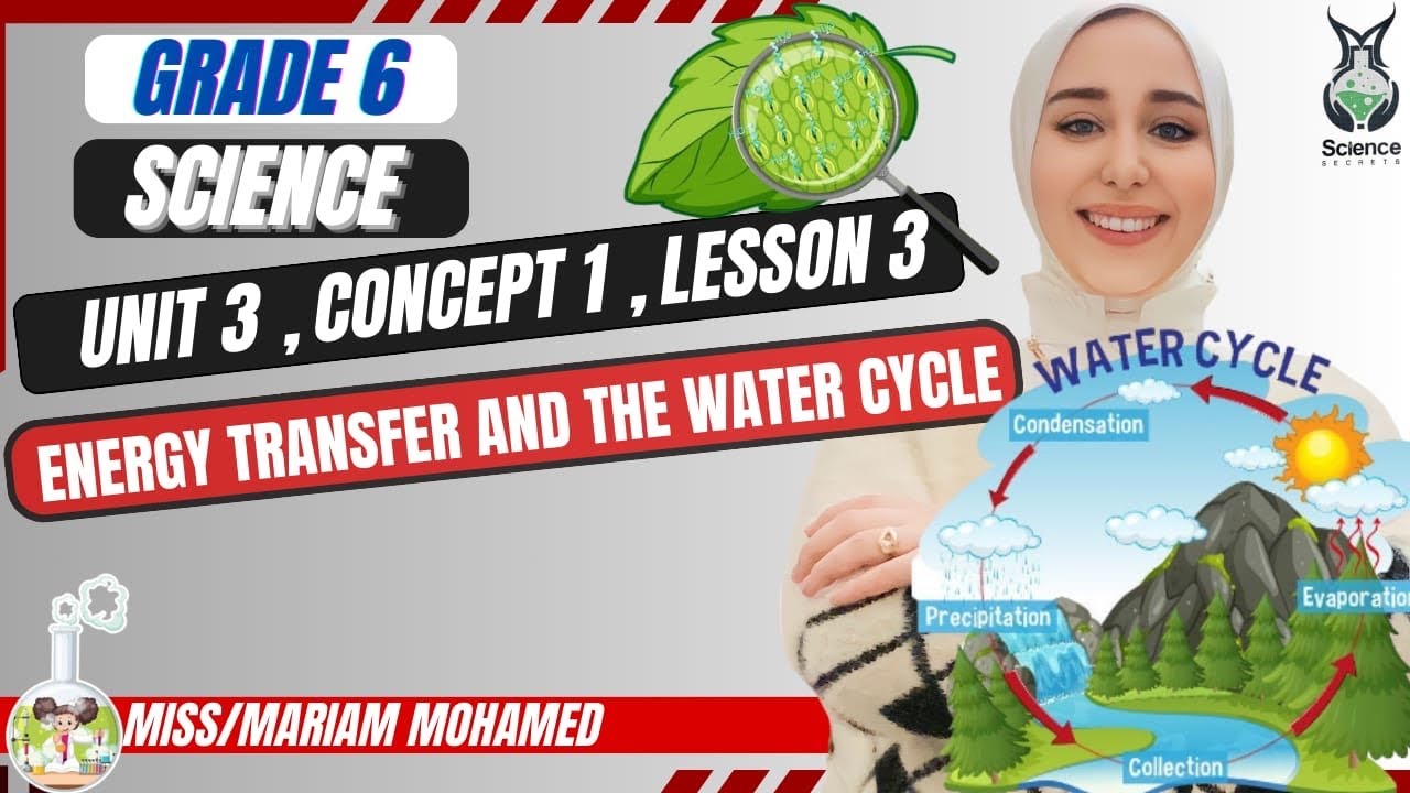 Grade 6 | Science | Unit 3 | Concept 1 | Lesson 3 |Energy Transfer and the water cycle