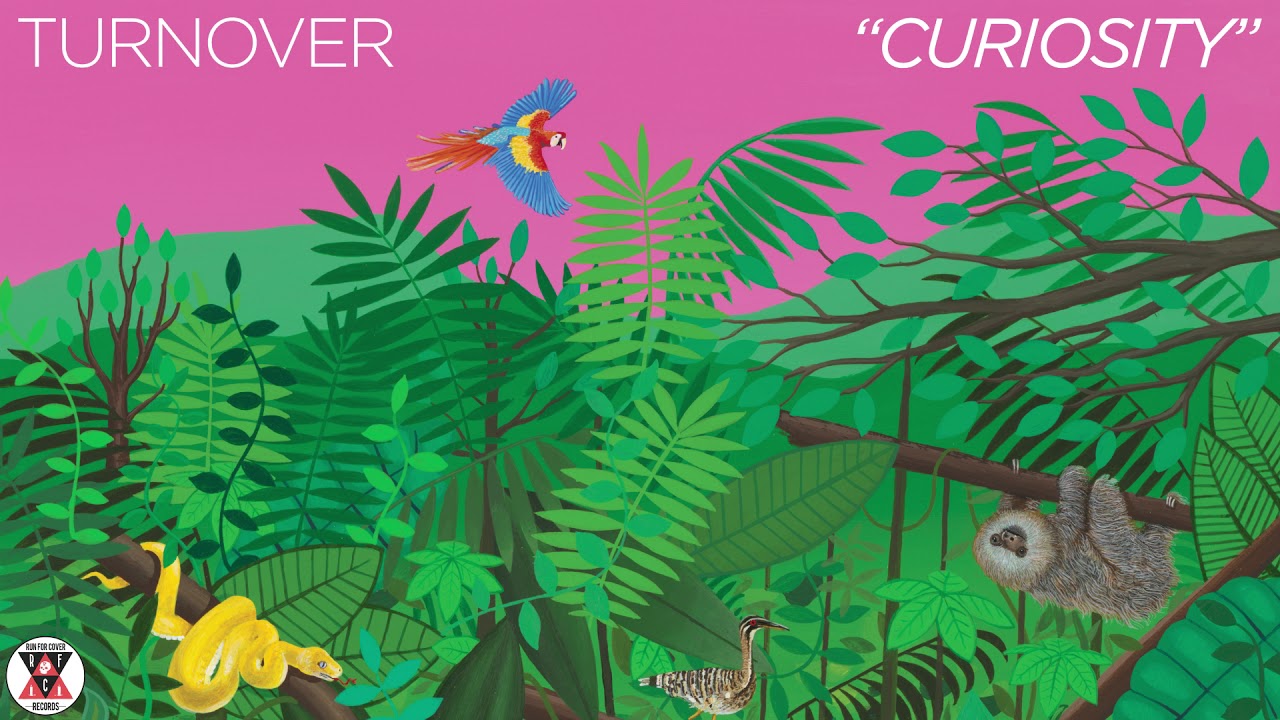 Turnover - 
