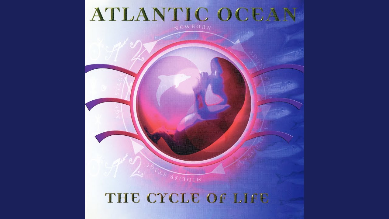 The Cycle Of Life (Extended Club Mix)
