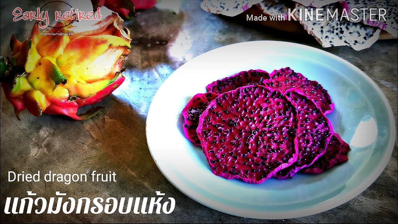 Early-Retired​ แก้วมังกรอบแห้ง ทำง่าย ๆ ด้วย ตู้อบลมร้อน dried dragon fruit 말린 용 과일