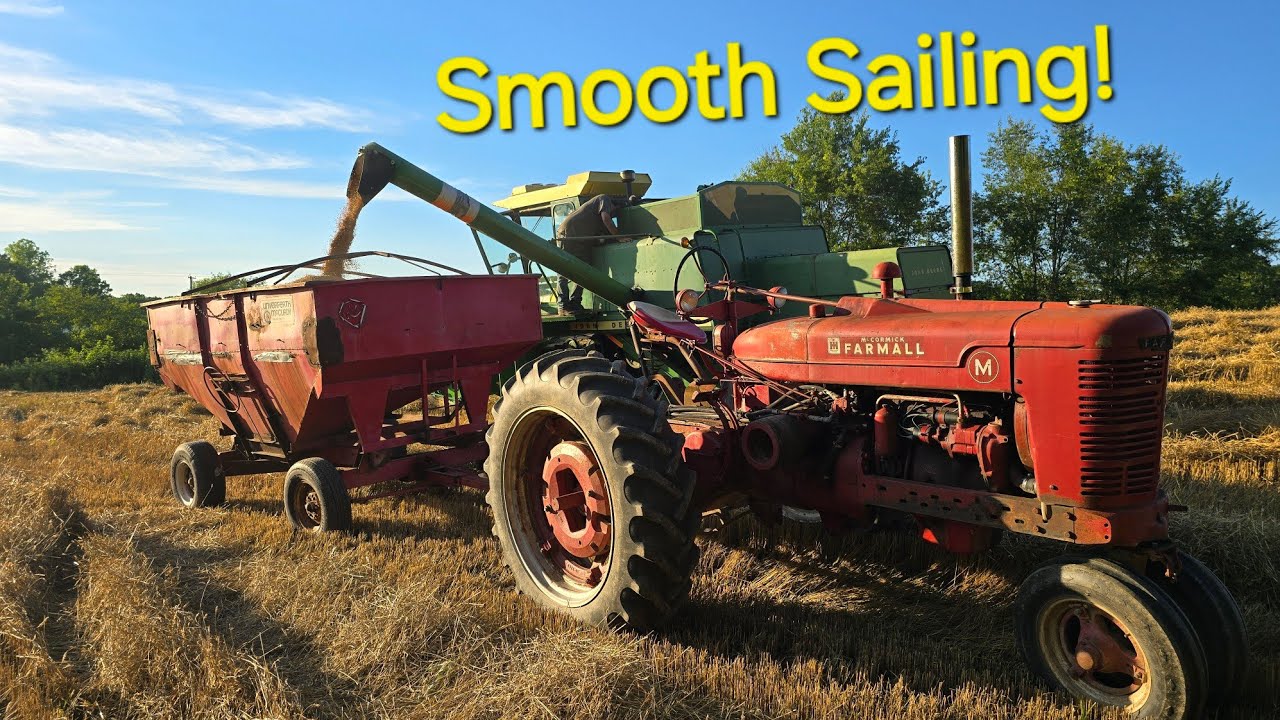 Wheat harvest 2024! Part 1