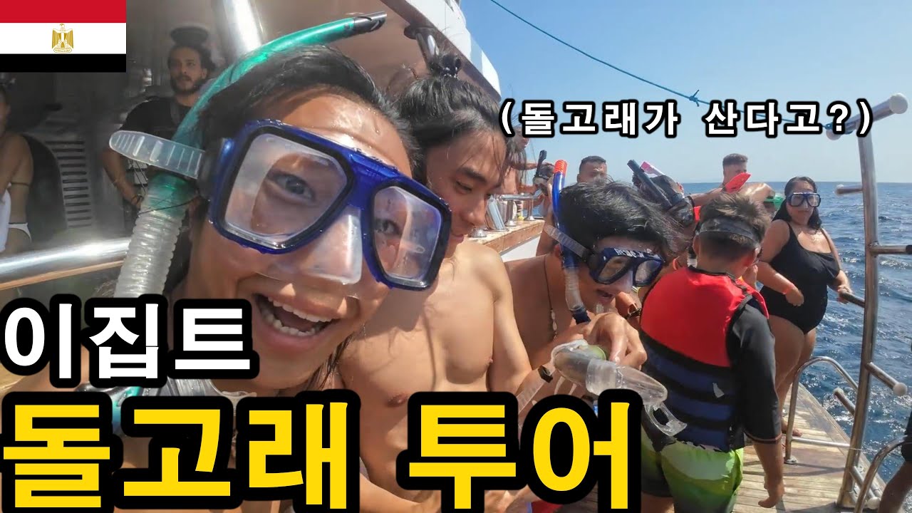1만원 짜리 이집트 돌고래 투어-후르가다 여행-