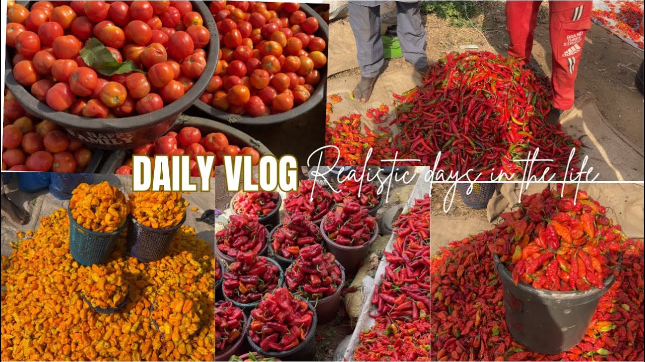 Come to the Market With Me | Nigeria Market Vlog: Cheap Vegetable Season