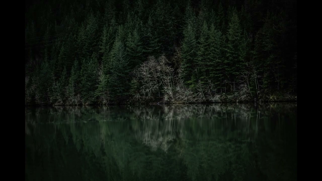 ASMR: Positive Affirmations and Shushing to silence the voices