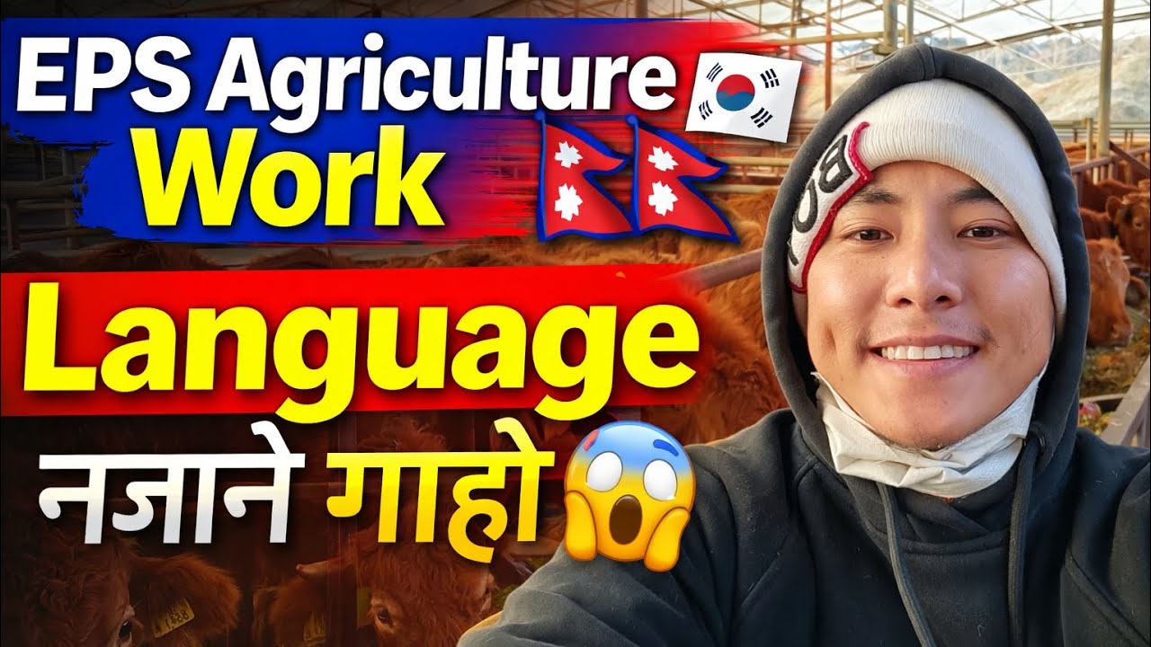EPS Agriculture Work in Korea | Cow Farm Real Experience 🇰🇷😱 Nepal to Korea