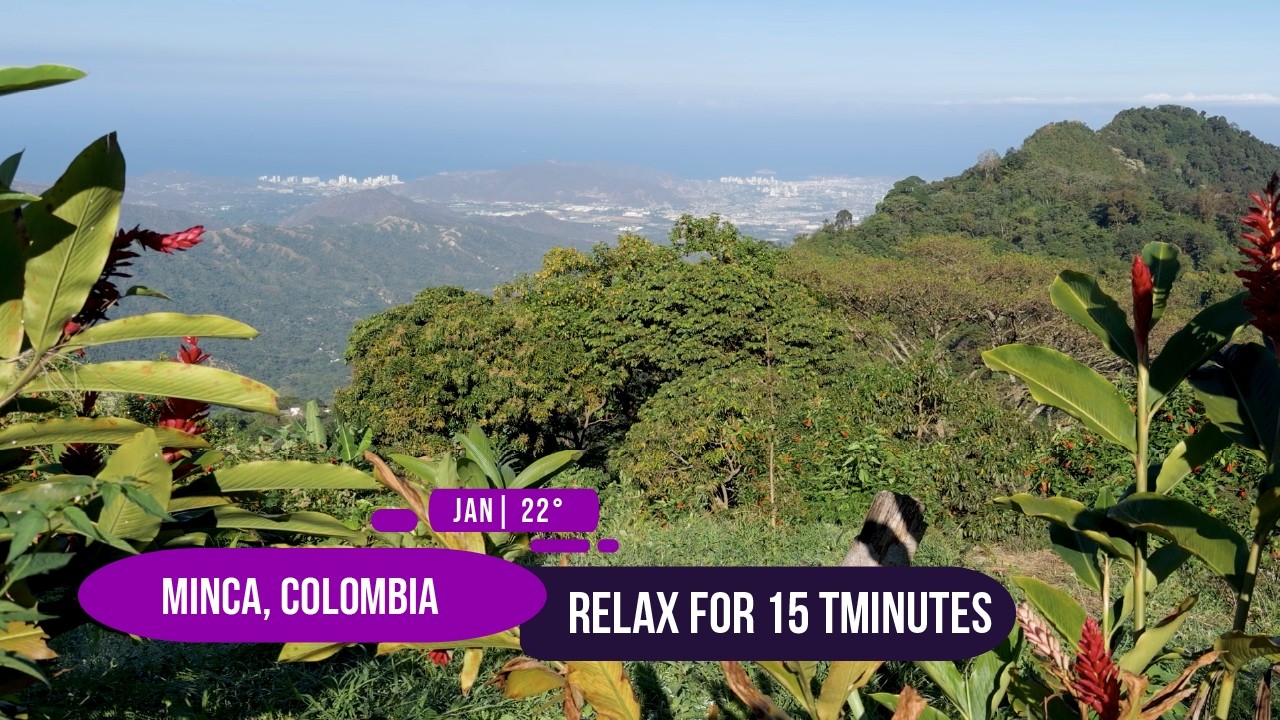 Nothing Changes – Above Minca, Colombia (15 min)