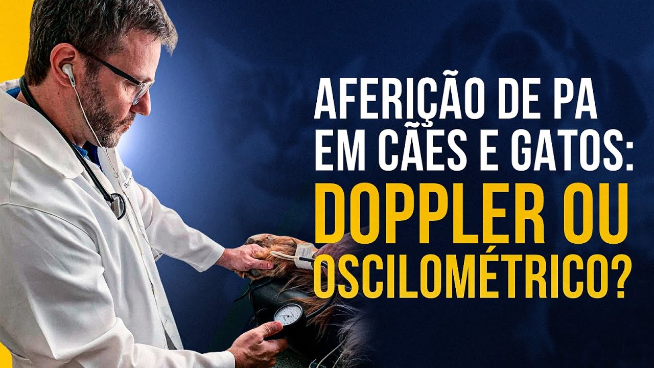 Aferição de PA em cães e gatos: Doppler ou oscilométrico?