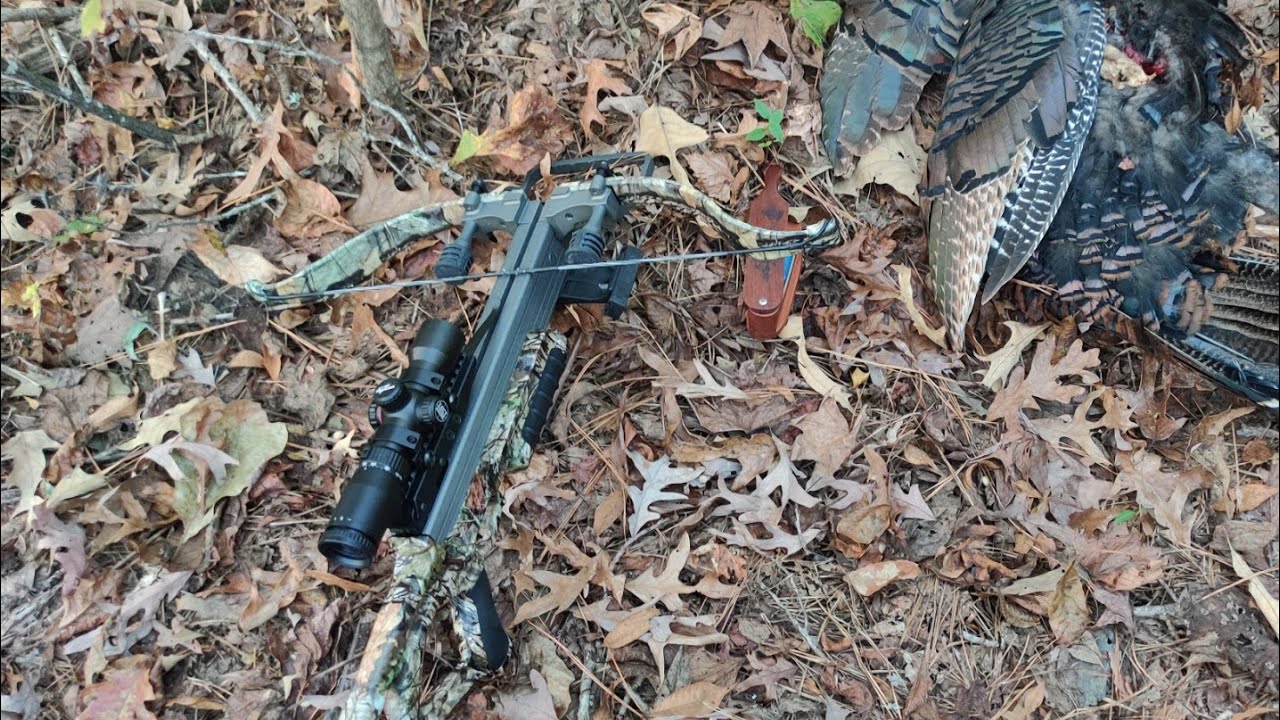 Fall Turkey Hunt on Public land w/ crossbow
