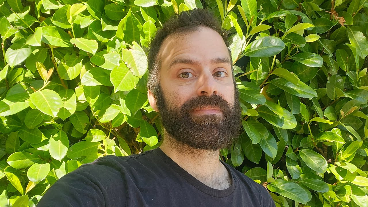 Walk To Movies Stream