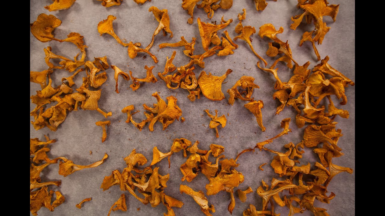 T&oslash;rking av sopp | MatPrat