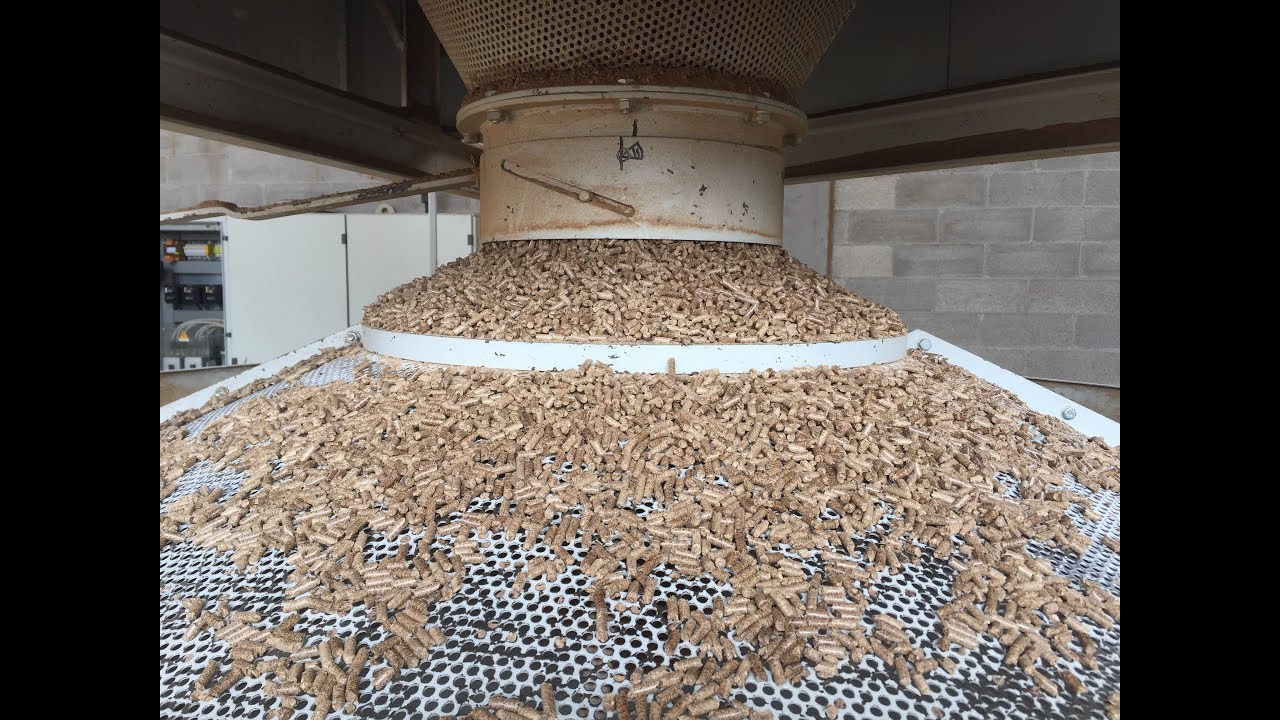 Miscanthus agripellet plant 2018 - Italy