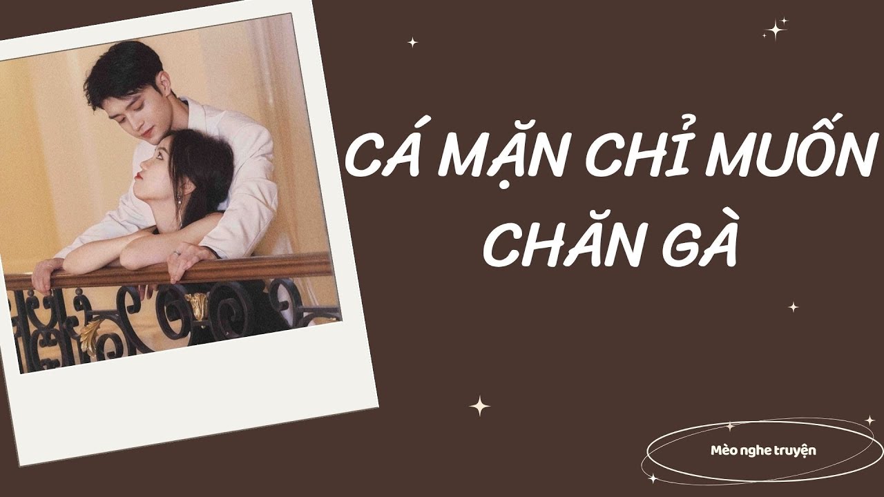 CÁ MẶN CHỈ MUỐN CHĂN GÀ - Mèo hoang dã audio.