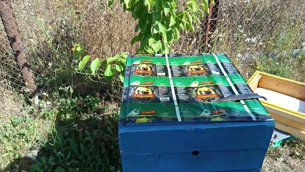 Кормимо. Пасіка Хуторного Володимира.