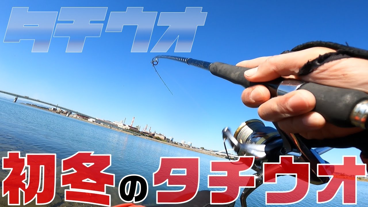 【太刀魚釣り】冬も朝からタチウオ連発!!気温は下がったがまだまだ釣れる!?