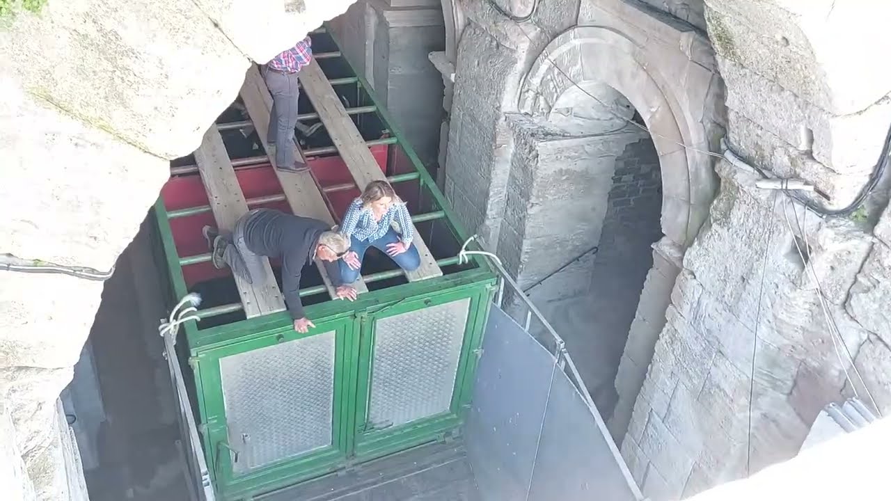 D&eacute;barquement des taureaux de la course camarguaise