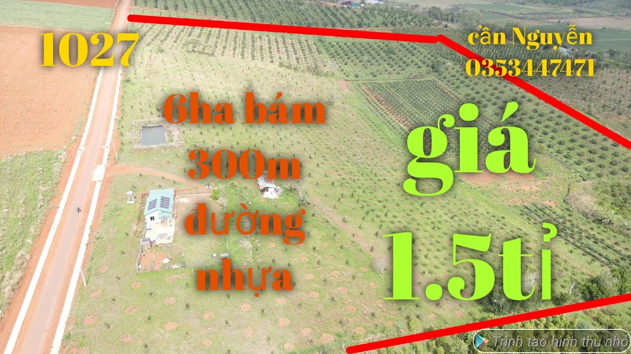 Bán siêu phẩm 6ha bám 300m đường nhựa có nhà điện 3fa 2000cafe 600vải 300hồng 700makca giá 8.5ti