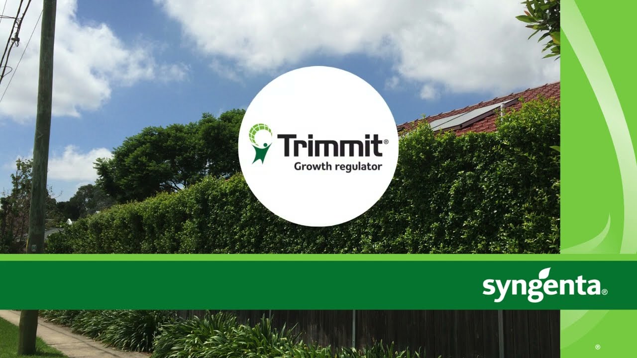 How to easily and effectively apply TRIMMIT® Growth Regulator to hedges