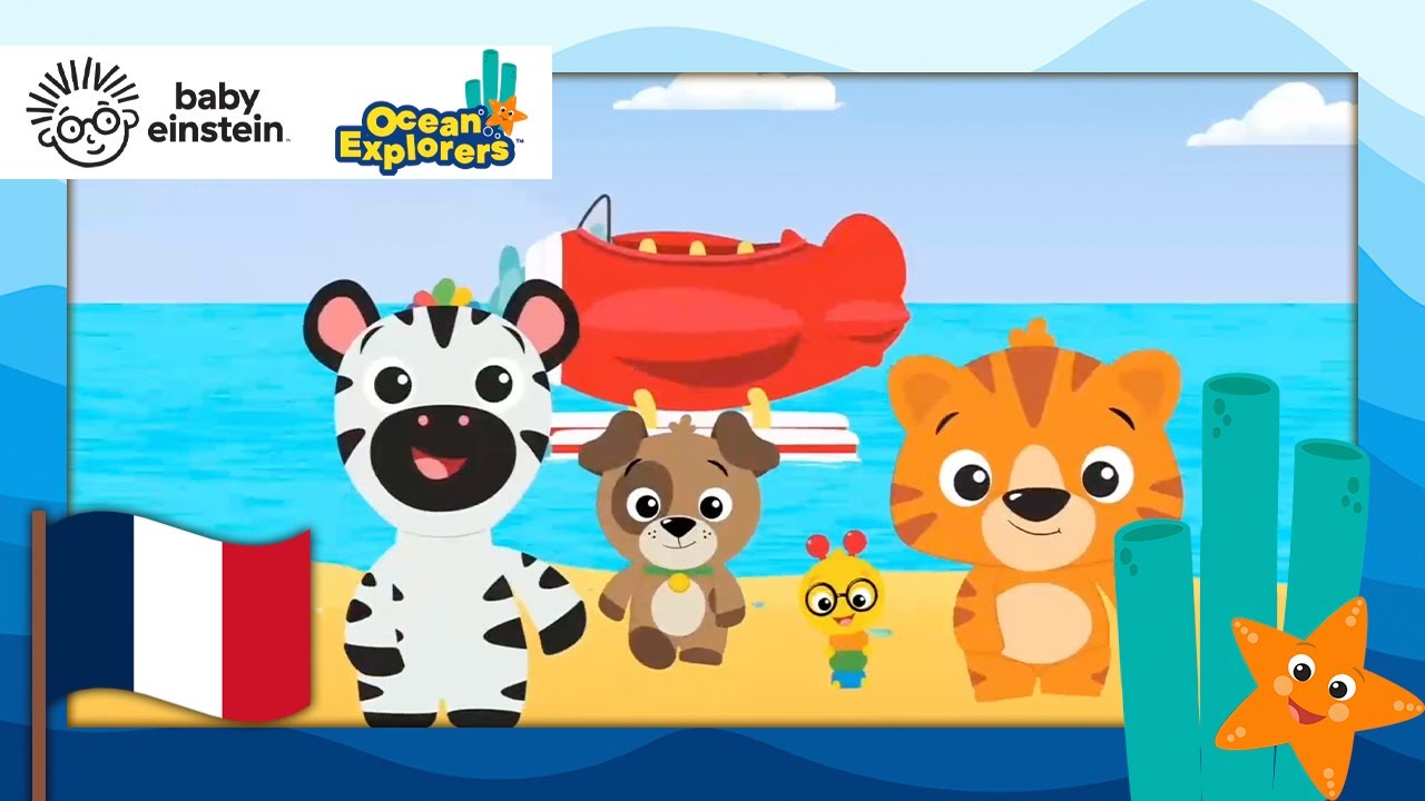 Explorons: Les Contraires Avec Les Bébés Tortues De Mer! | Explorateurs de l'océan | Bébé Einstein