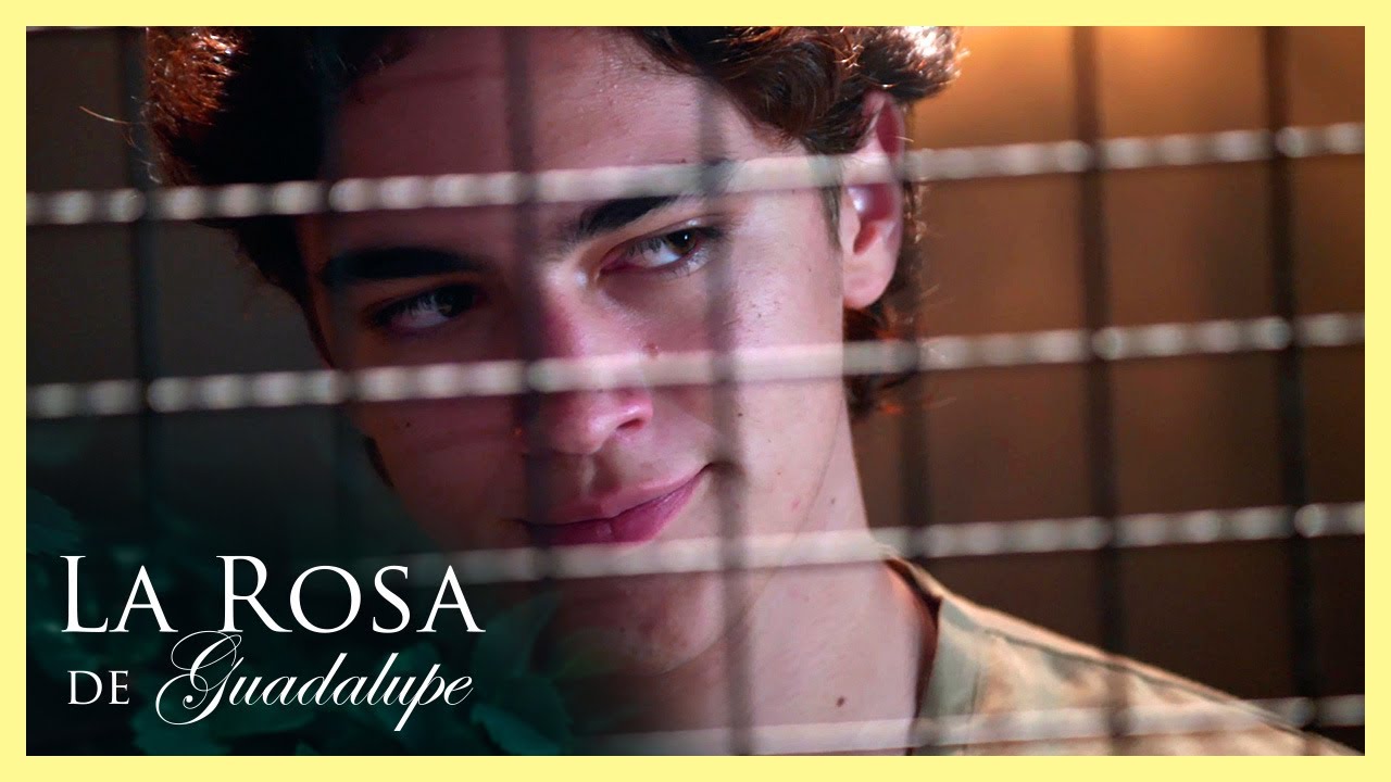 Rodrigo 'El Junior de las Lomas' pagará con 15 años de cárcel | La Rosa de Guadalupe 4/4| Bajo el m…