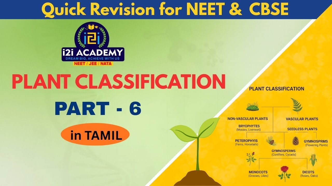 Plant Classification Explained 🌿 | Easy Biology in Tamil | Simple Notes + Examples | PART 6