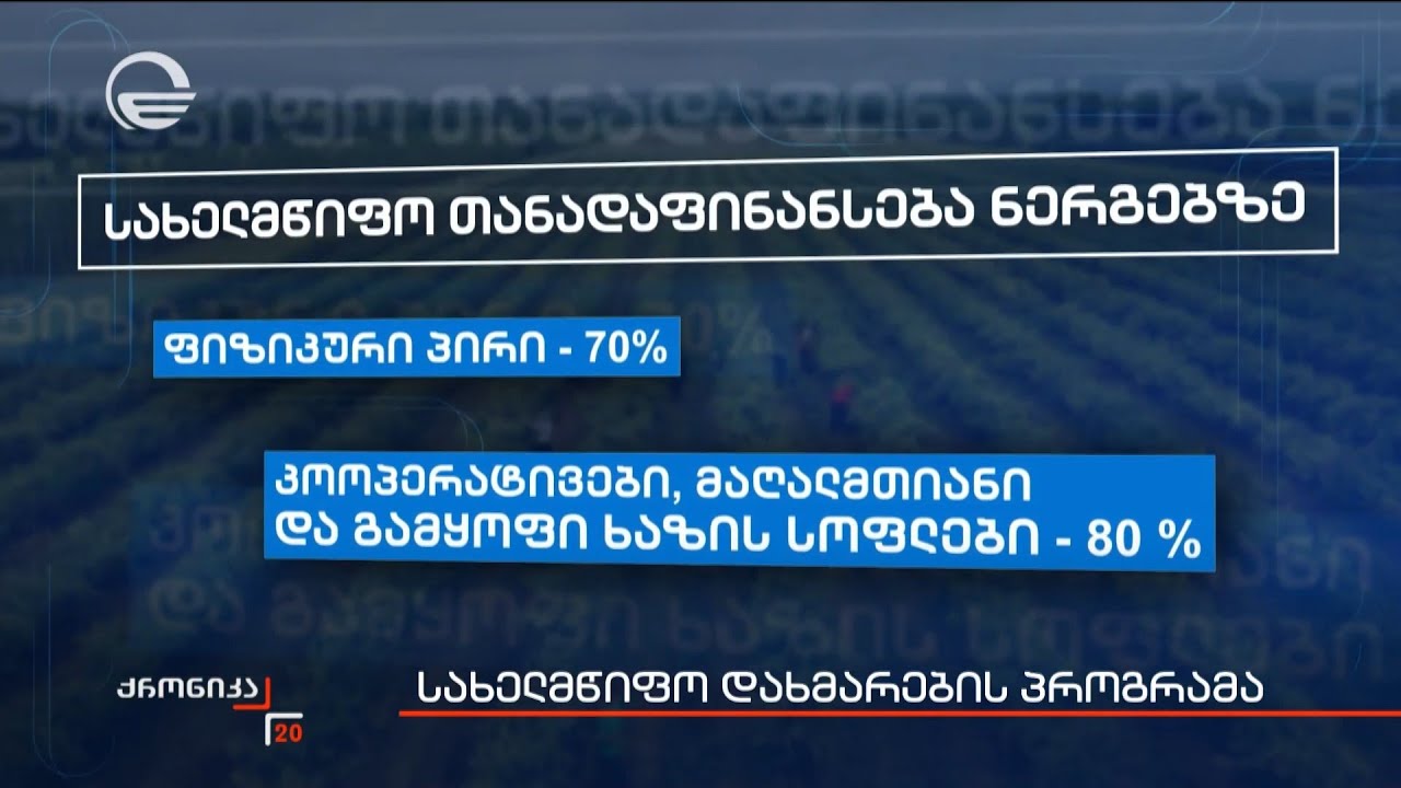სახელმწიფო დახმარების პროგრამა