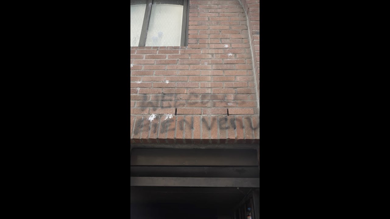 COMMENT ILS TUENT NOS QUARTIERS : L'Alma, un quartier à l'abandon