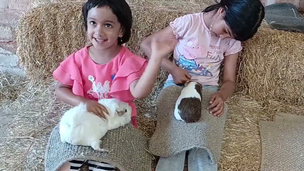 Stonehurst Farm trip with Family #family #farm #farmanimals #kids #vacation #leicester_mcc