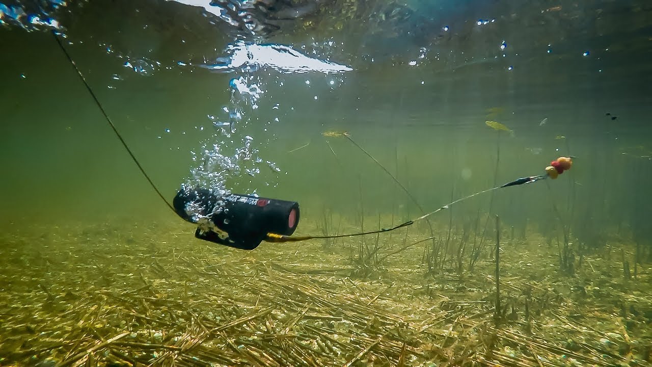 Camera Water wolf - Montage carpe - Petit session