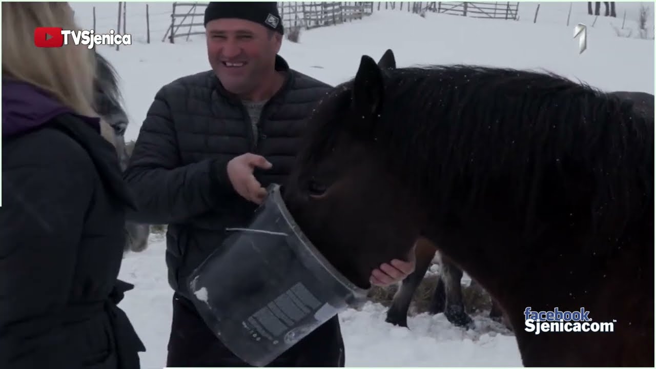 covek koji ima 250 ovaca i 30 brdskih konja - Muhabet sa Harunom Majunovicem