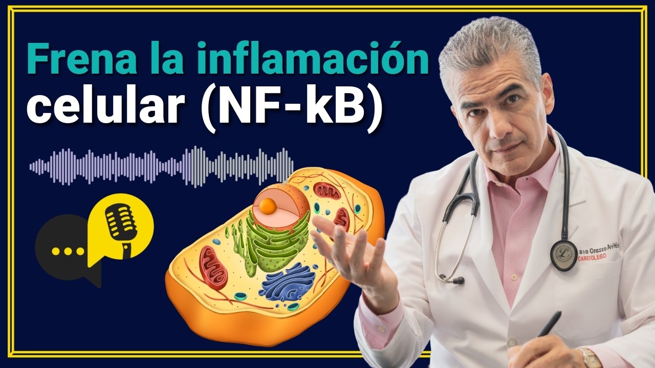 #018 NF-kB y TLR4: Abordaje Molecular de la Inflamación Celular | Dr. Gustavo Orozco