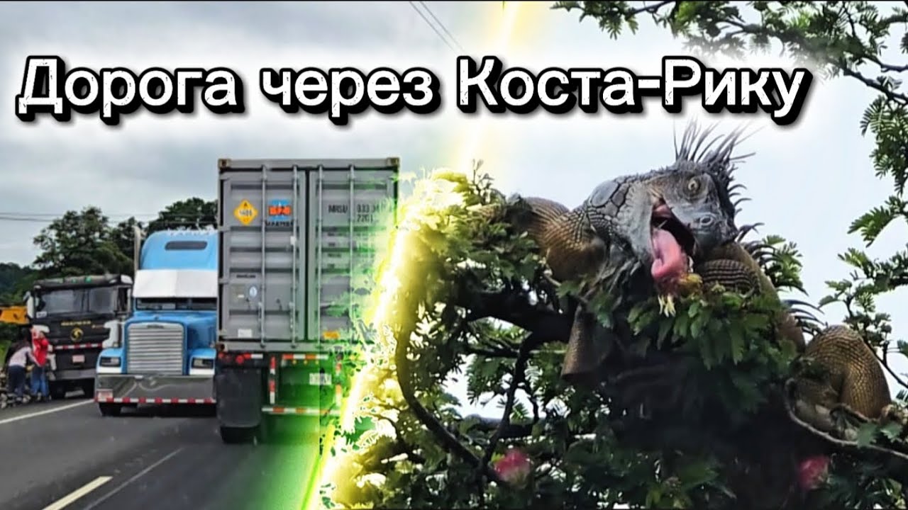 Своим ходом по Коста-Рике на машине с ребёнком: маршрут  от Карибов к Тихому океану через Лимон 