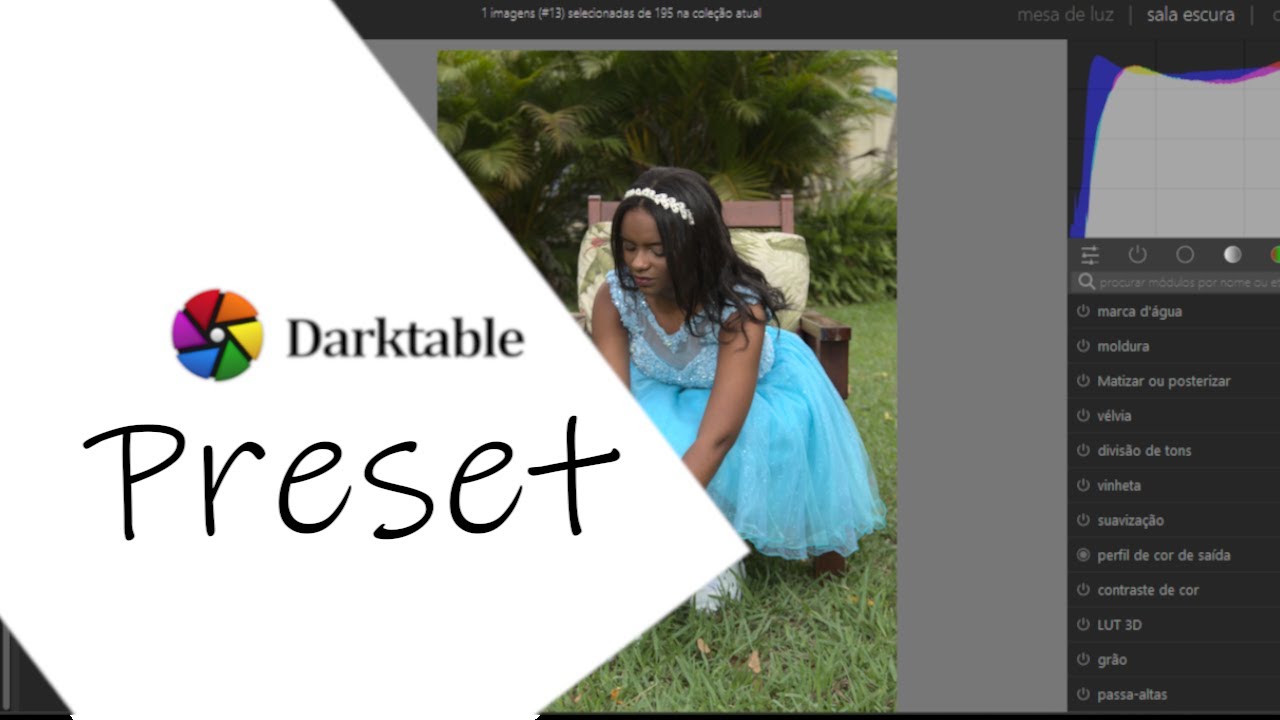 Curso de Darktable - Criação de Preset (Aula 13)