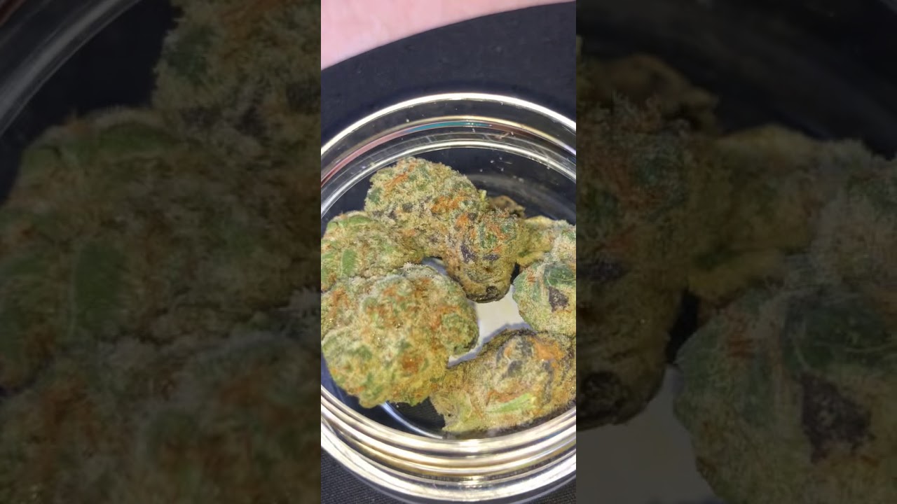 Sour grape strain