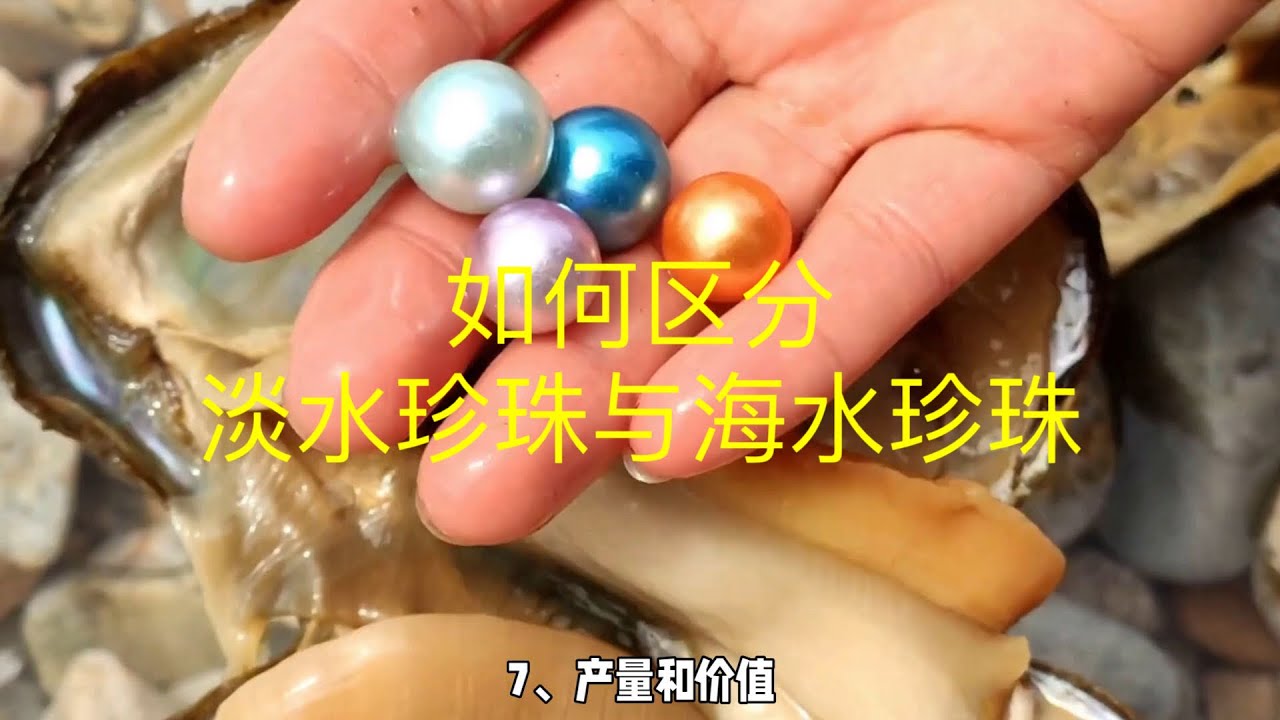 如何区分淡水珍珠与海水珍珠