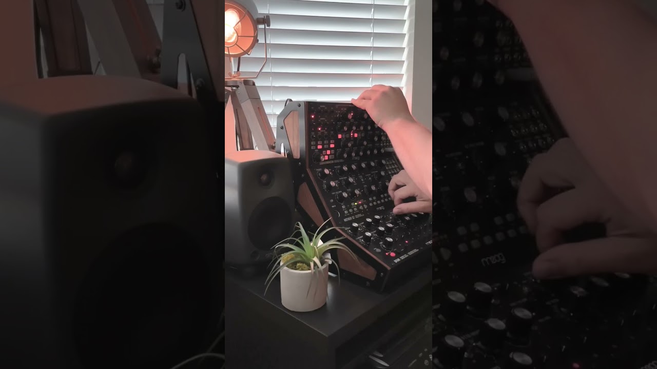 Jamming with the awesome Moog DFAM, Mother-32 and Subharmonicon #moog #modularsynth #electronicmusic