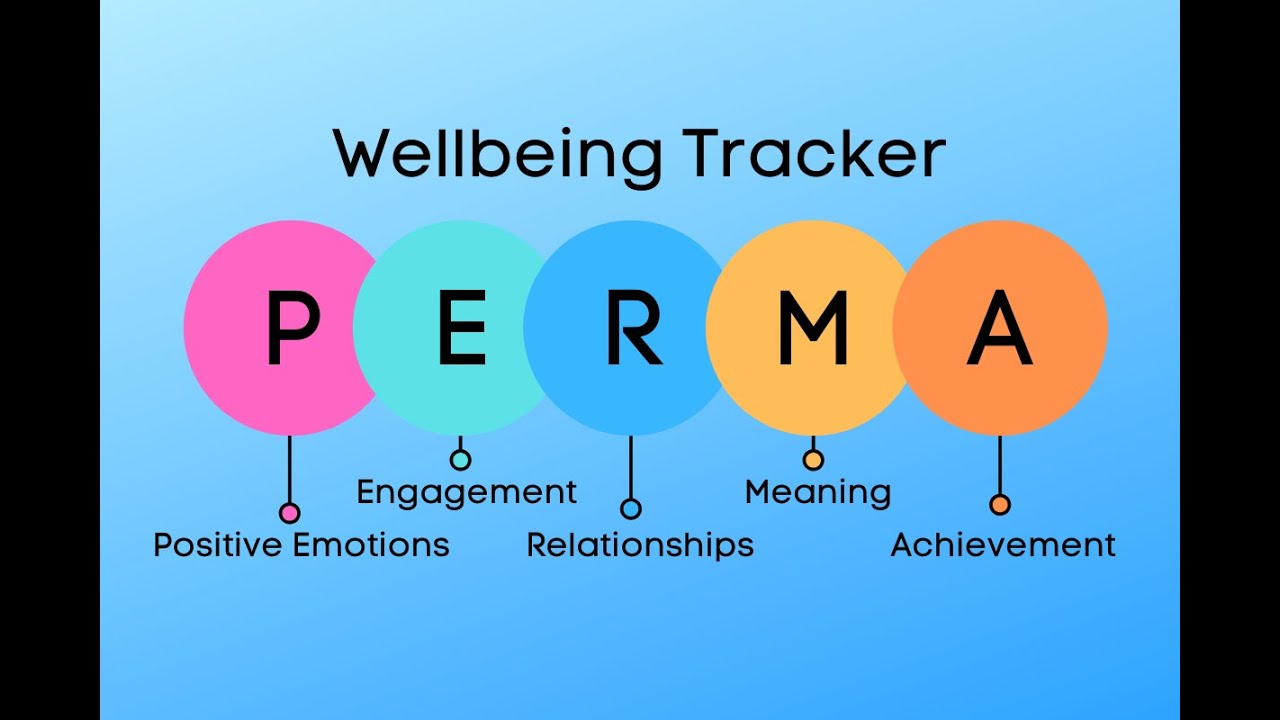 Task PERMA wellbeing tracker overview