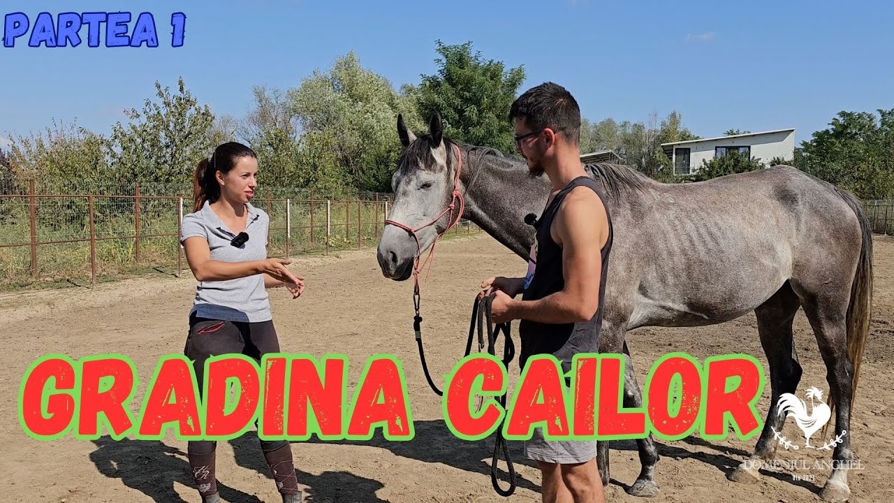 In vizita la GRADINA CAILOR P1