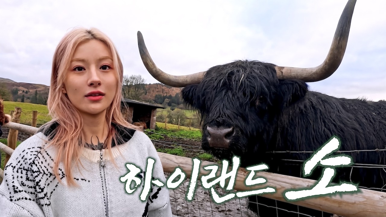 대충 에든버러 브이로그 Ep.2 스코틀랜드 하이랜드 투어