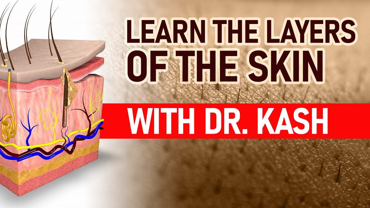 Learn the Layers of the SKIN for #esthetician state boards with Dr. Kash