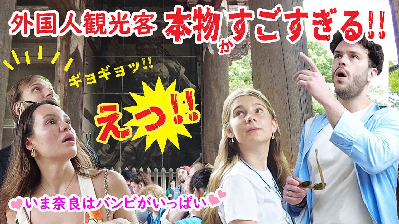 【リアルな海外の反応】 外国人観光客 その荘厳さにみんな絶叫!! 迷子のバンビ号泣！東大寺　奈良公園