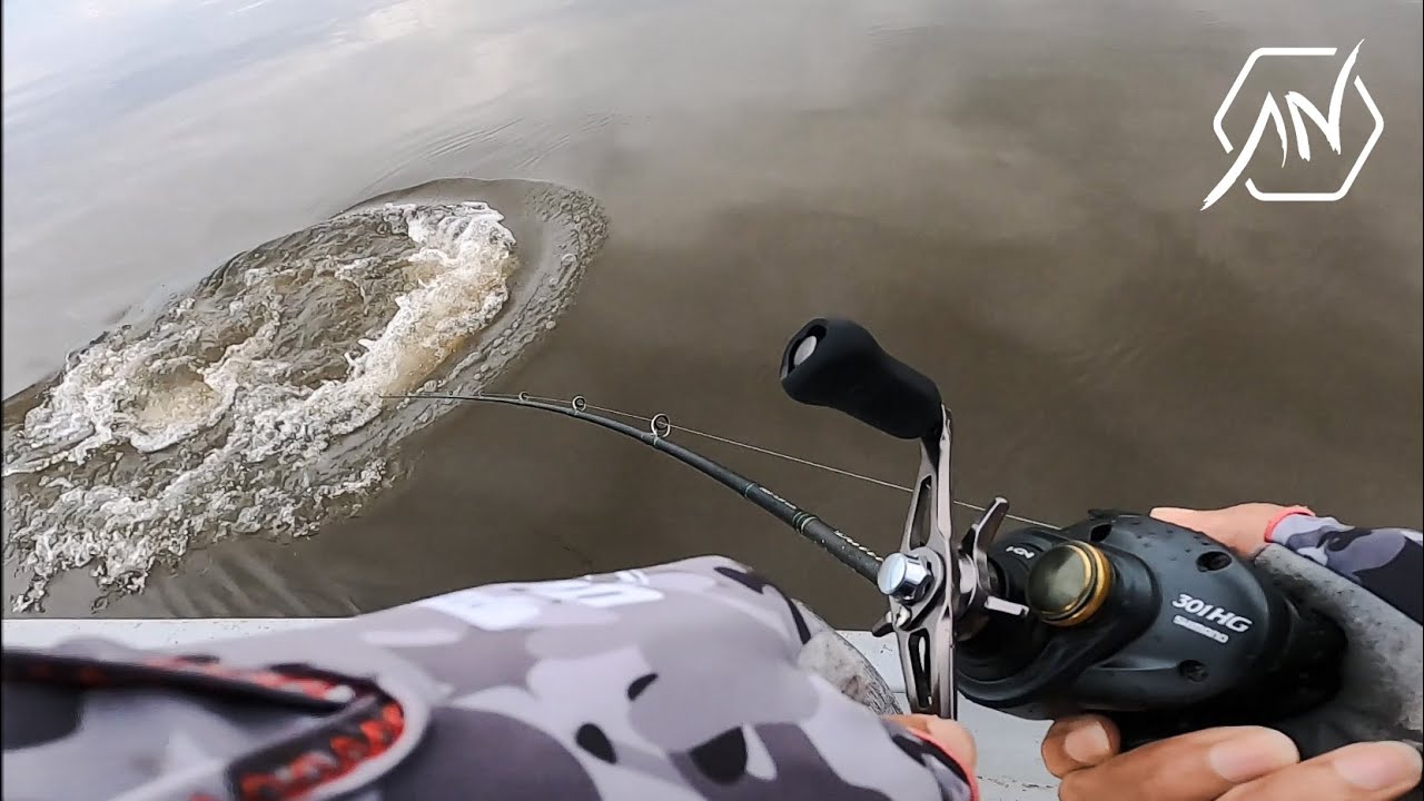 Giant Snakehead fishing with Shimano Curado 301HG