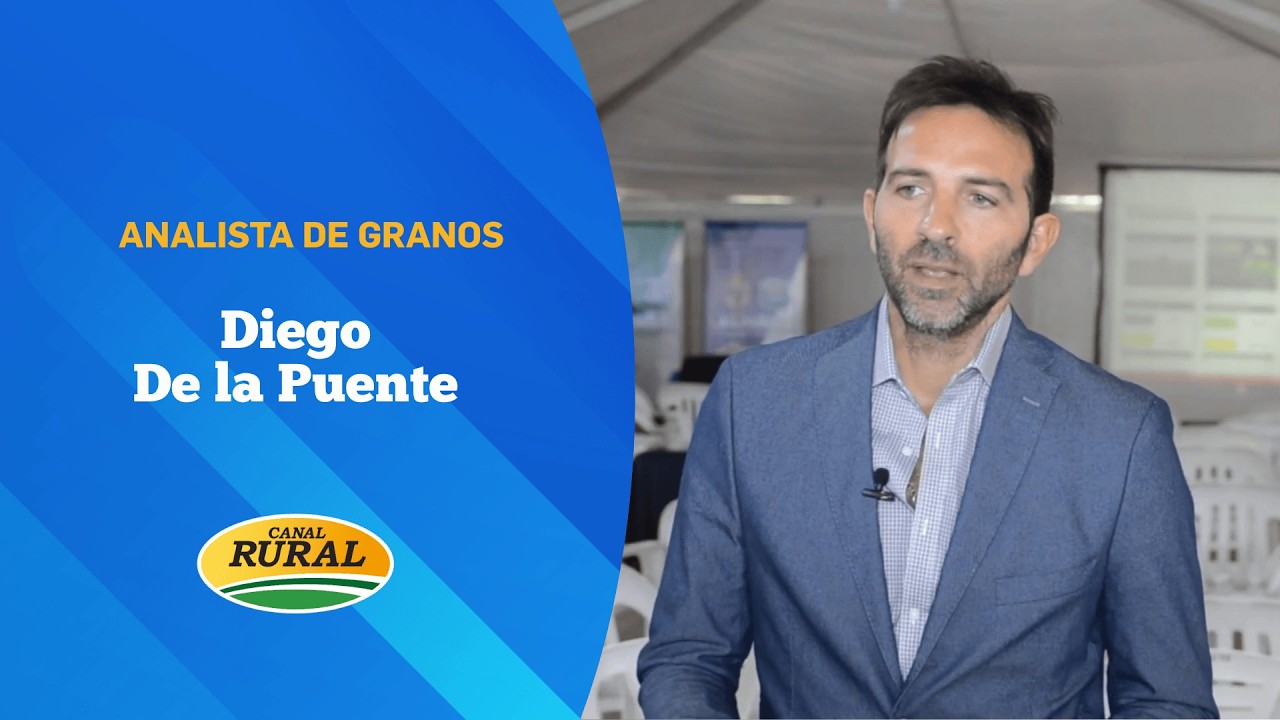Granos: recomiendan llegar a la cosecha gruesa con mayor cobertura de precios