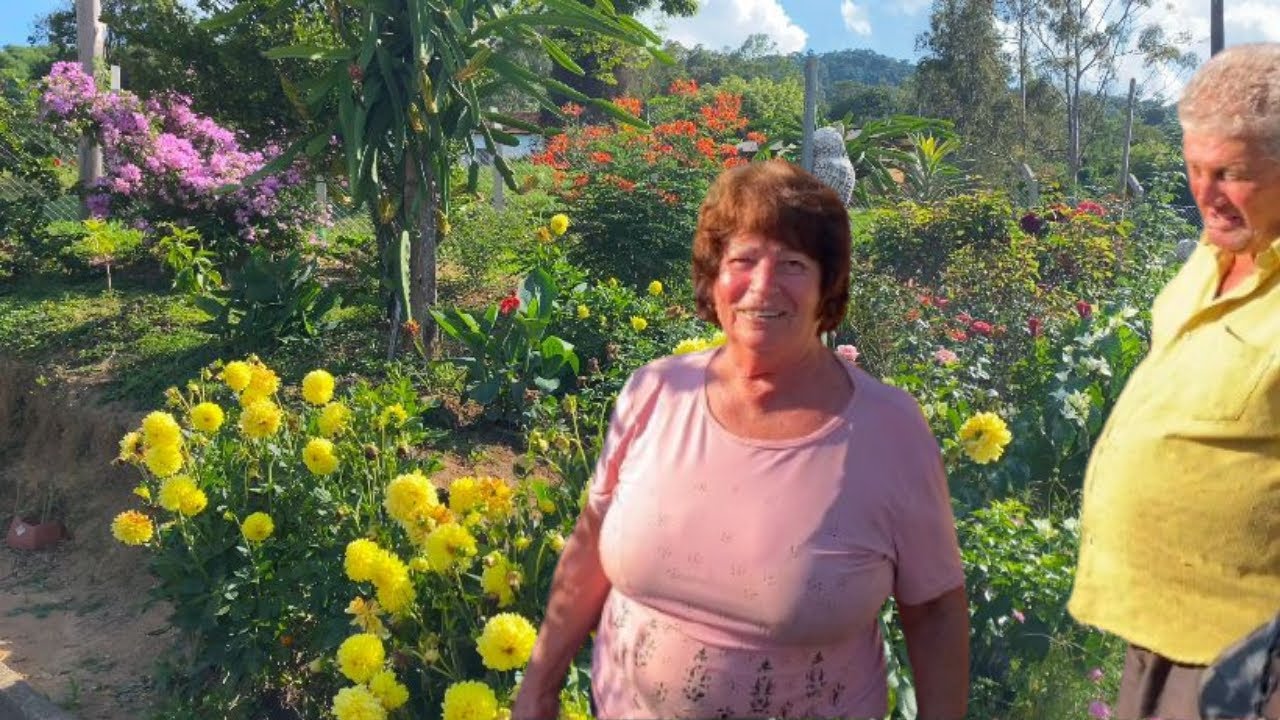 🌼 JARDINS LINDOS NA ROÇA - GANHEI MUITAS MUDAS | GUTIZGRILO