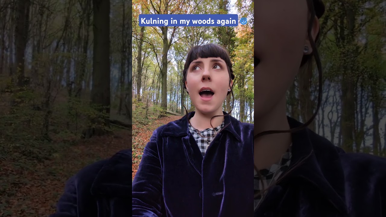 I got caught this time Kulning in the woods #kulning #folkmusic #fairyvibes  #etherealvocals