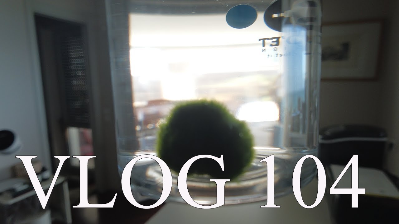『VLOG 第104話』弟子が家に来た！１日の様子。１ヶ月滞在。