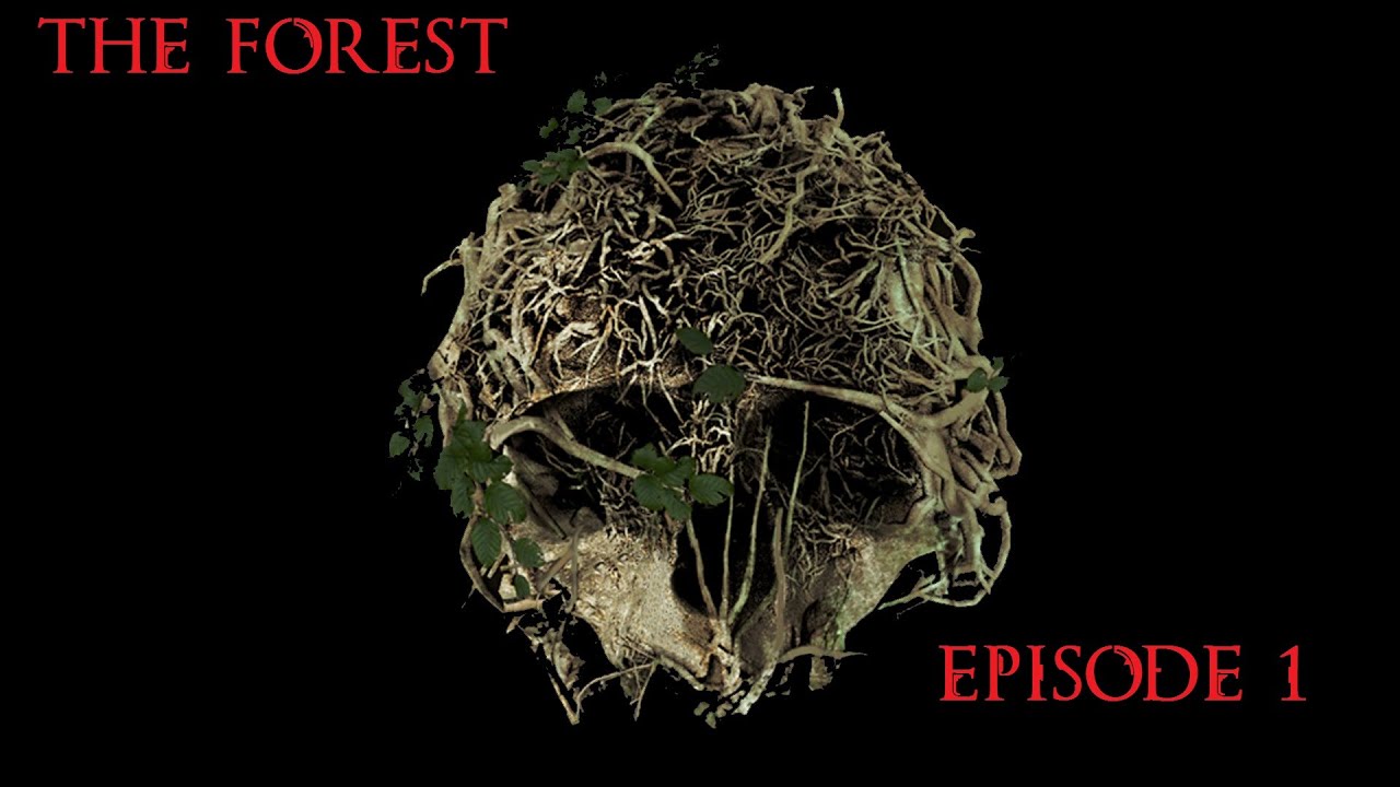 GAMEPLAY [FR] The Forest épisode 1 : Voyage de noce qui tombe à pic